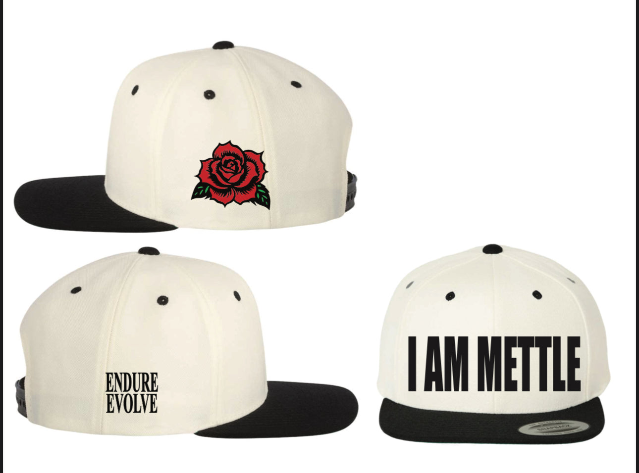 Endure. Evolve Snapback